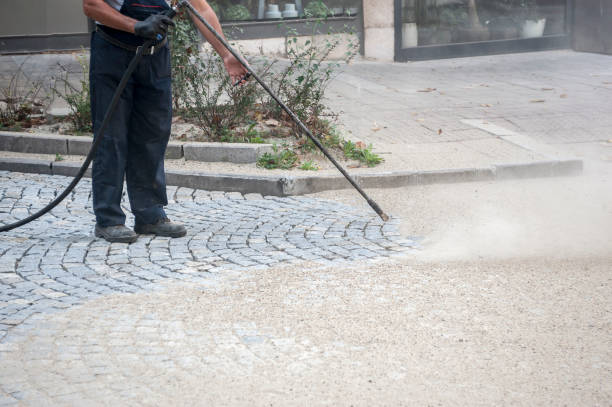 Best Fence Cleaning and Maintenance in Ocean Ridge, FL